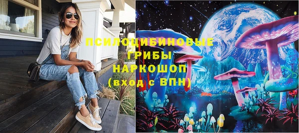apvp Белокуриха