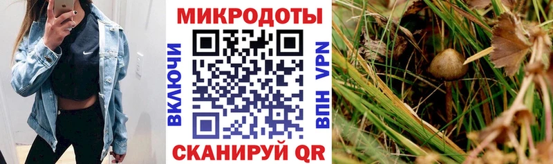 закладки hydra как войти Галлюциногенные грибы MAGIC MUSHROOMS Мамадыш